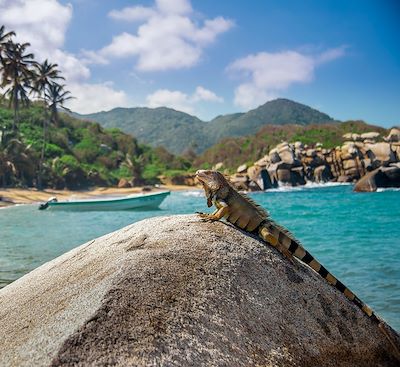 Voyages en famille Colombie