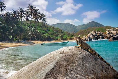 voyage Vamos Colombia ! 