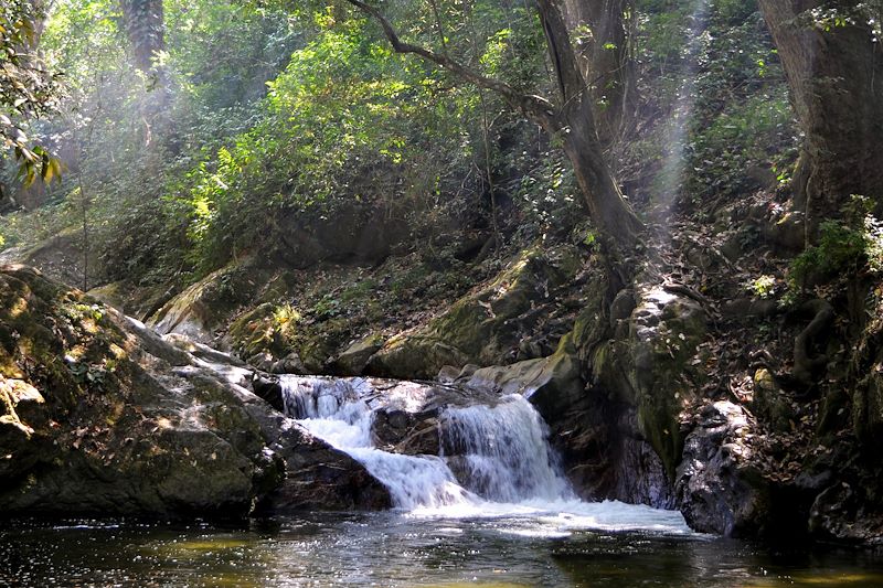 Cascade dans la Sierra Nevada de Santa Marta - Minca - Colombie