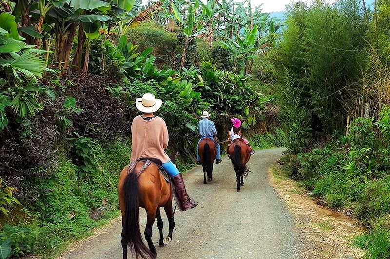 Randonnée équestre en Colombie