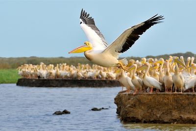Cap-Vert le Sénégal 4