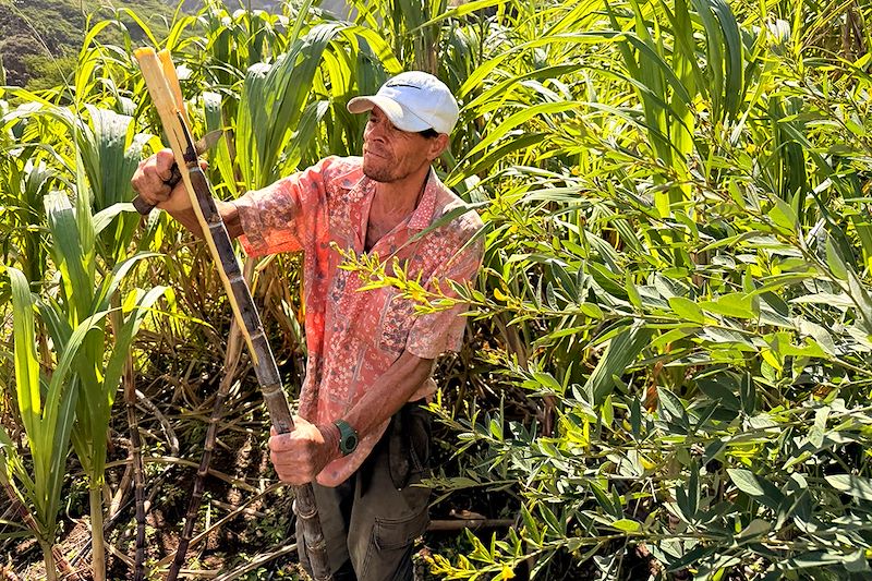Cours d'agriculture avec un local - Santo Antão - Cap-Vert