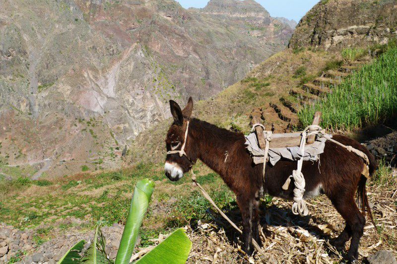 Randonnée vers Lagoinha sur l'ile de Santo Antao - Cap Vert