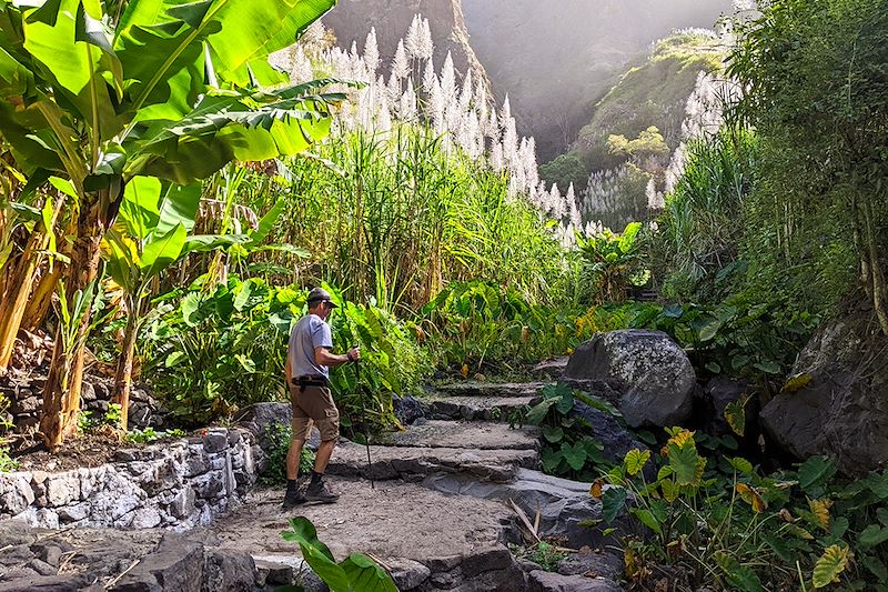 Randonnée dans les plantations de cannes à sucre - Île de Santo Antão - Cap-Vert