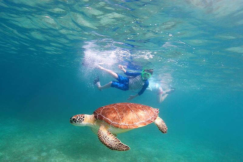 Snorkeling avec les tortues