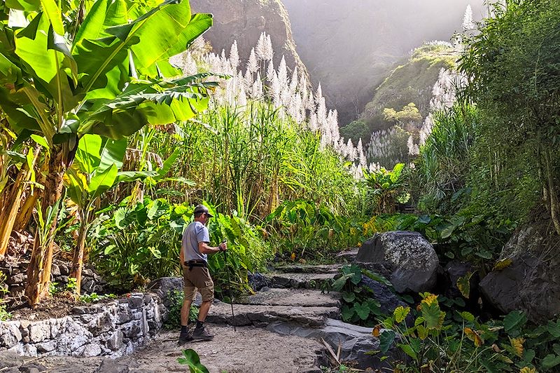 Randonnée dans les plantations de cannes à sucre - Île de Santo Antão - Cap-Vert