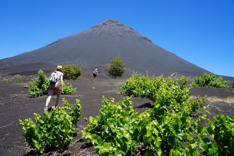 Pico do Fogo - Île de Fogo - Cap Vert