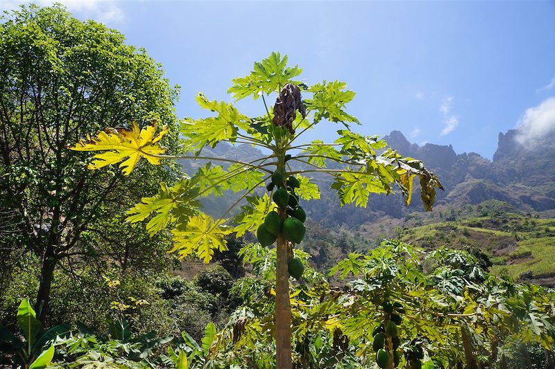 La grande traversée de Santo Antão