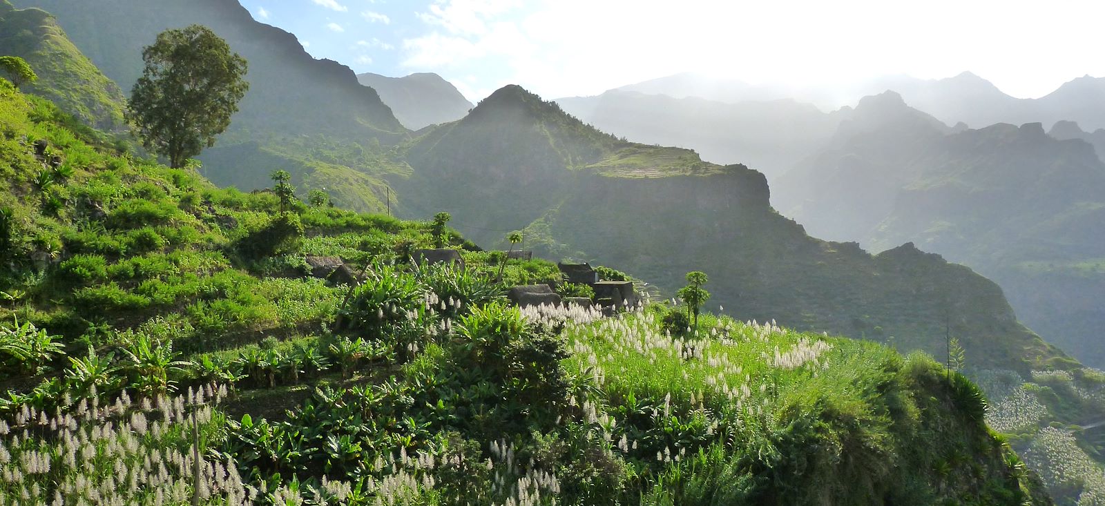 Image La grande traversée de Santo Antão