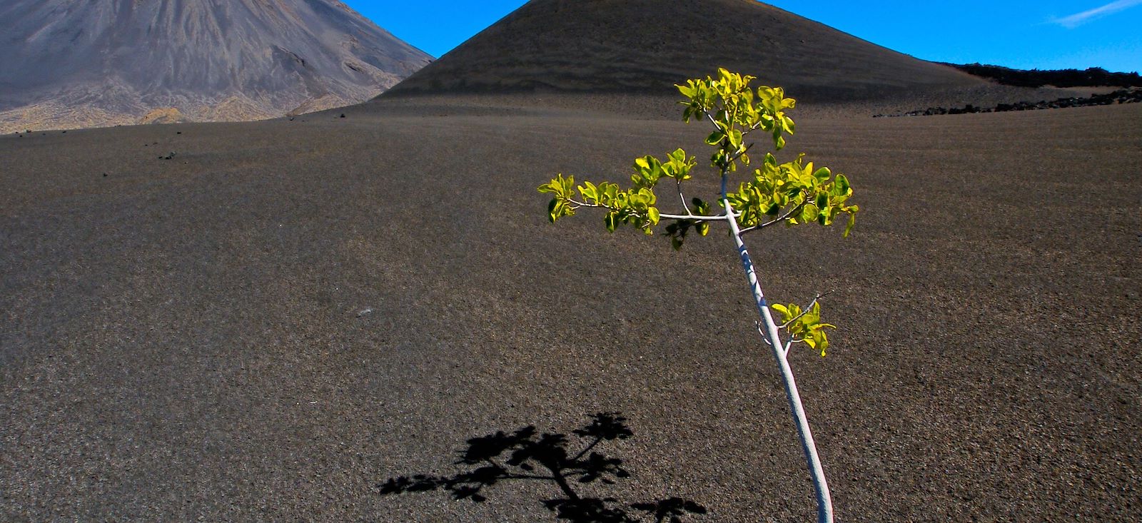 Image Best of Cabo Verde !