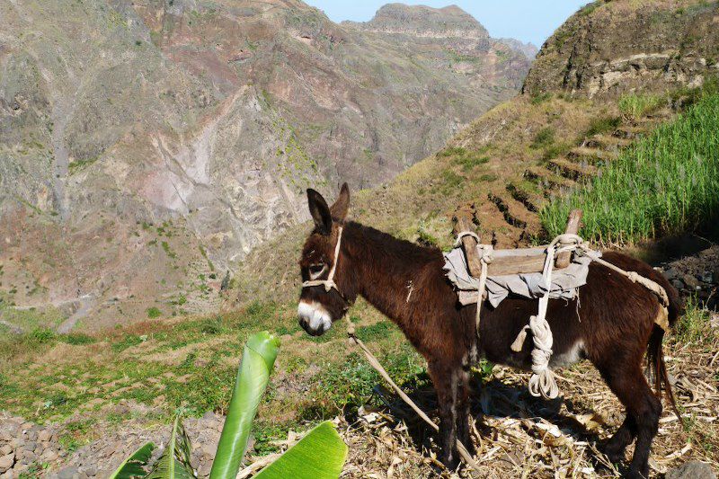 Randonnée vers Lagoinha sur l'ile de Santo Antao - Cap Vert