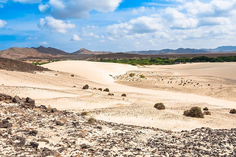 Désert de Viana - Île de Boa Vista - Cap-Vert