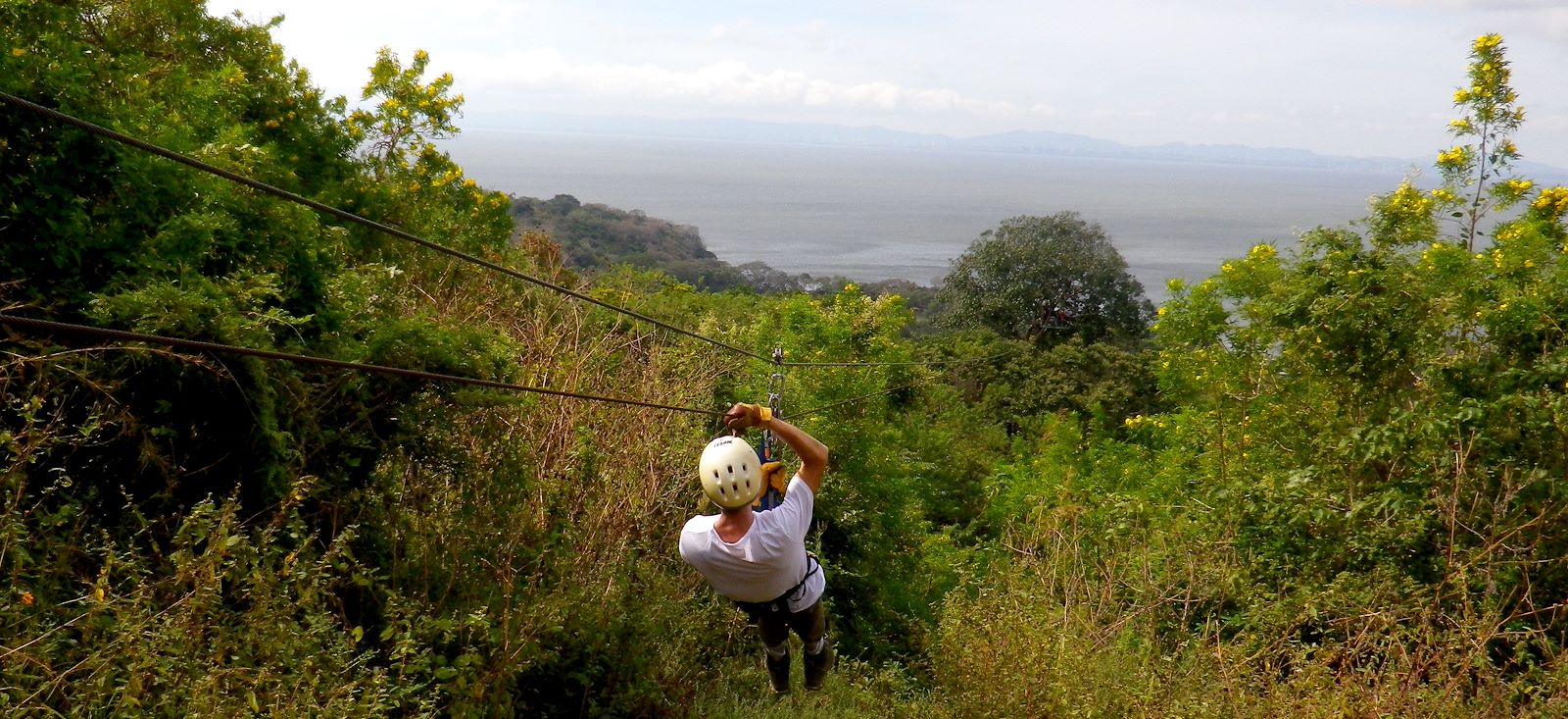 Image Entre volcans et Pacifique