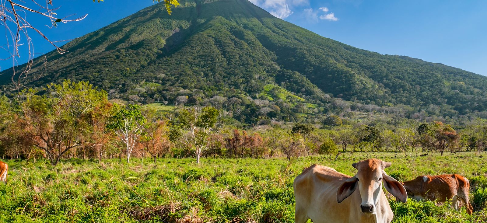 Image Entre volcans et Pacifique