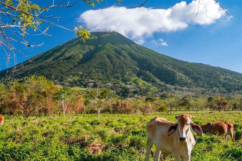 L'île d'Ometepe - Nicaragua