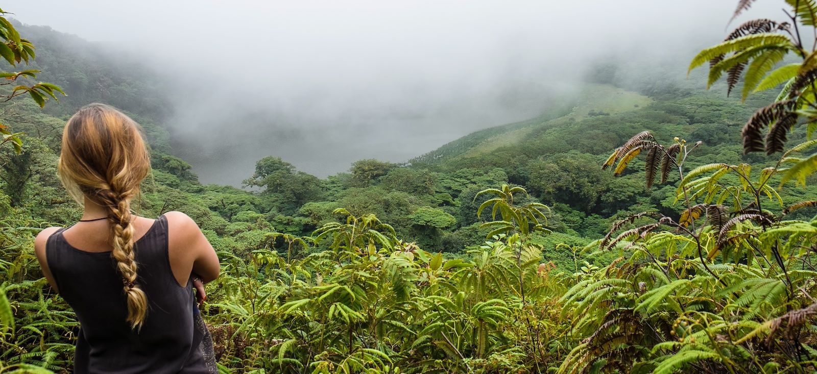 Image Entre volcans et Pacifique