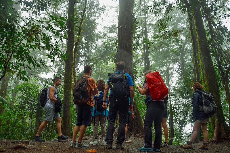Groupe de randonneurs dans la forêt tropicale - Costa Rica