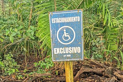 Découverte costaricienne (accessible PMR) 3