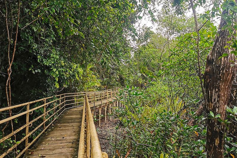 Passerelle accessible dans le parc national Manuel Antonio - Costa Rica