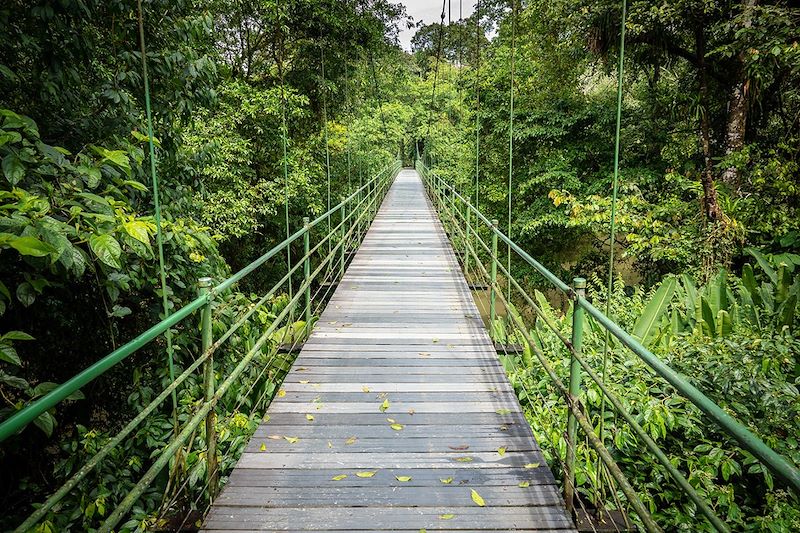 Pont suspendu à Sarapiqui - Costa Rica