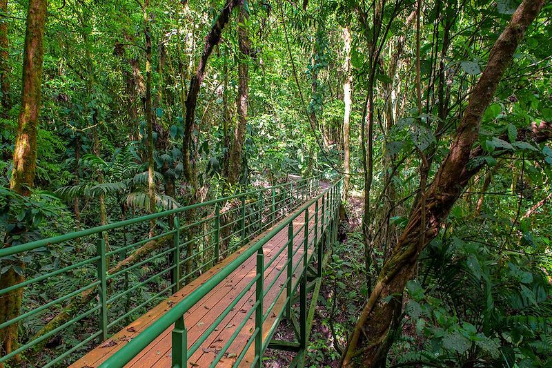Parc des ponts suspendus à Mistico - Costa Rica