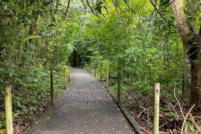 Parc national Carara - Costa Rica