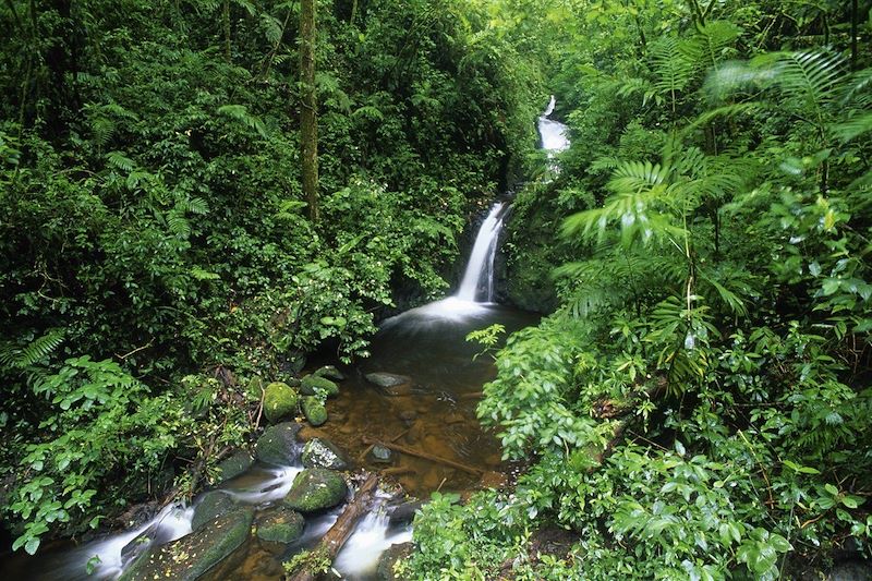 Monteverde - Costa Rica