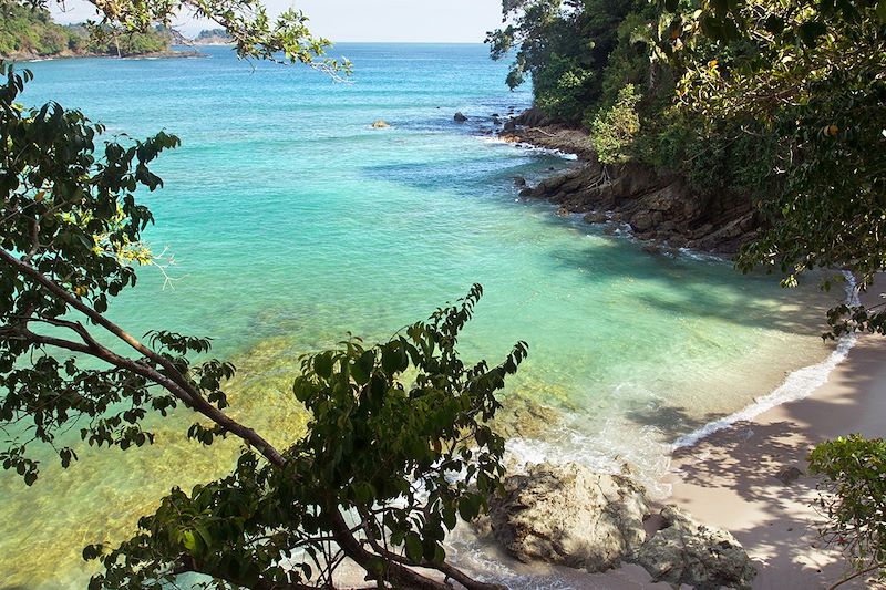 Parc national Manuel-Antonio - Province de Puntarenas - Costa Rica