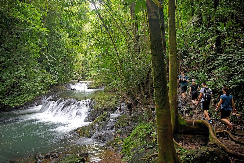 Randonnée dans le parc national de Corcovado - Péninsule d'Osa - Costa Rica