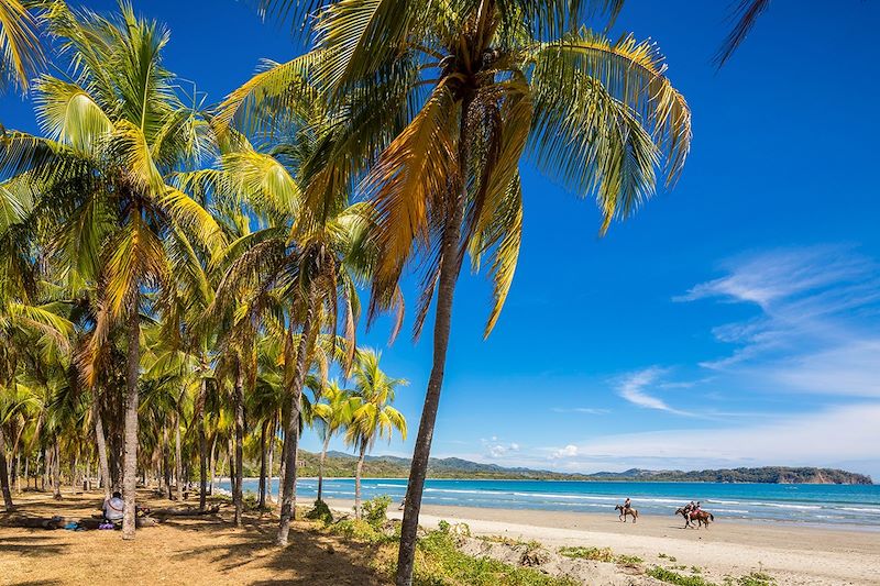 Plage dans les environs de Nosara - Péninsule de Nicoya - Guanacaste - Costa Rica