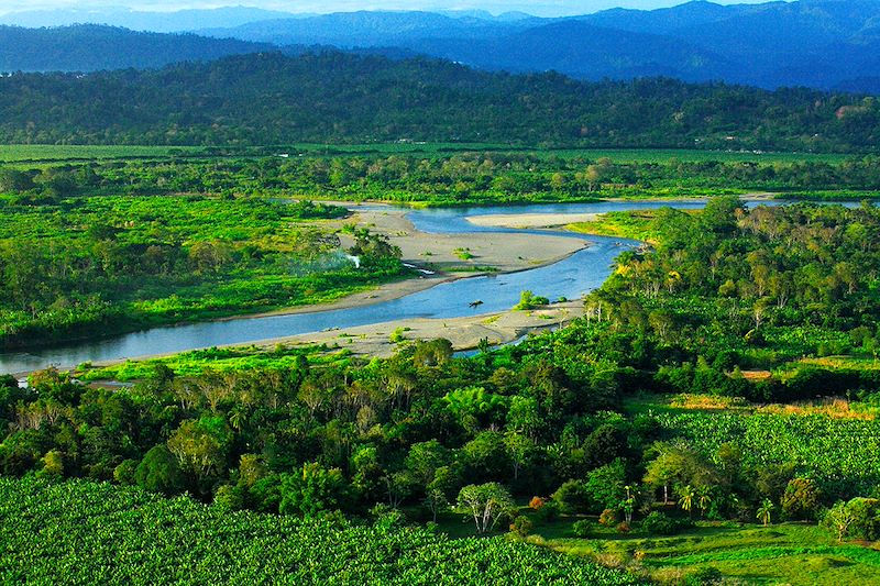 Rivière Changuinola - Bocas del Toro - Panama