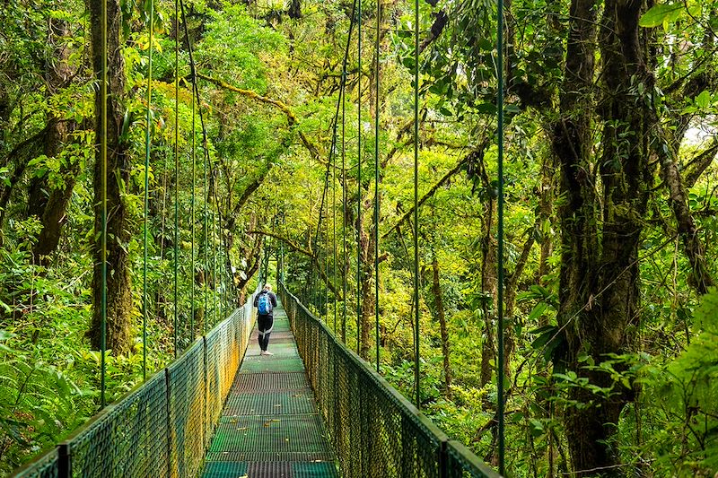 Pont suspendu dans le Monteverde - Costa Rica