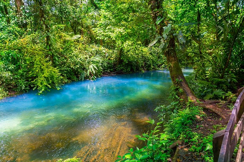 Río Celeste - Parc national du volcan Tenorio - Costa Rica