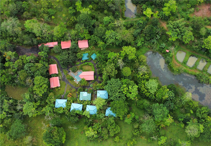 Finca l'Etoile Celeste - Tenorio - Costa Rica