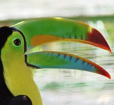 Voyages en famille Costa Rica