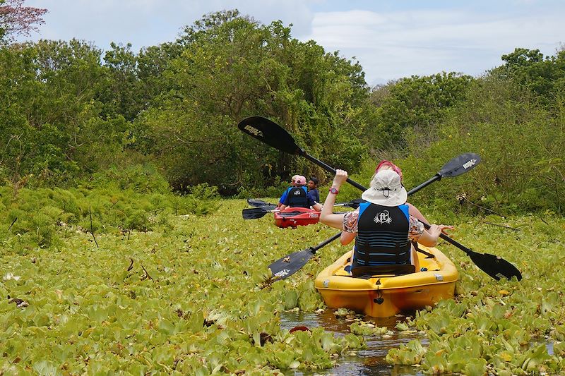 Kayak sur le Rio Istian - Ile d'Ometepe - Nicaragua