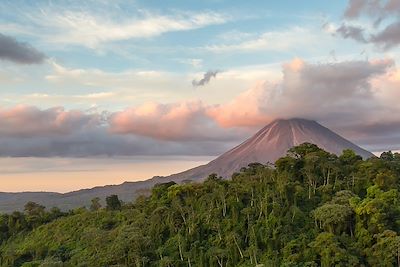 Volcans, toucans & cie 2