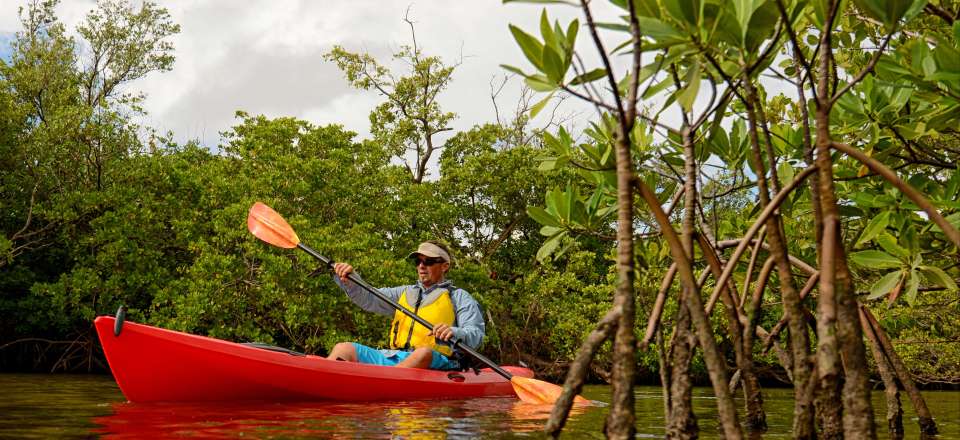 Découverte de la faune & flore du Costa Rica en kayak, une aventure sauvage dans la péninsule d'Osa du Golfo Dulce au Corcovado