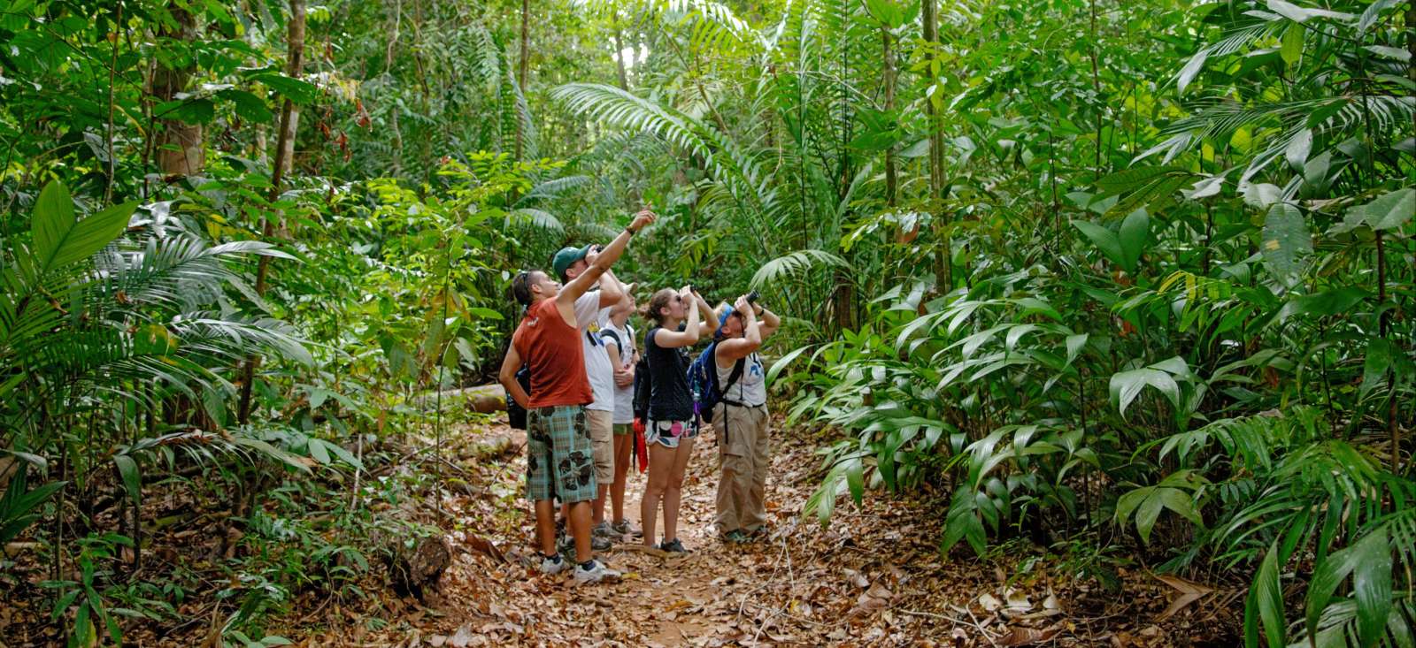 Voyage roadtrip - Costa Rica : Pura Vida: l\'aventure en famille !