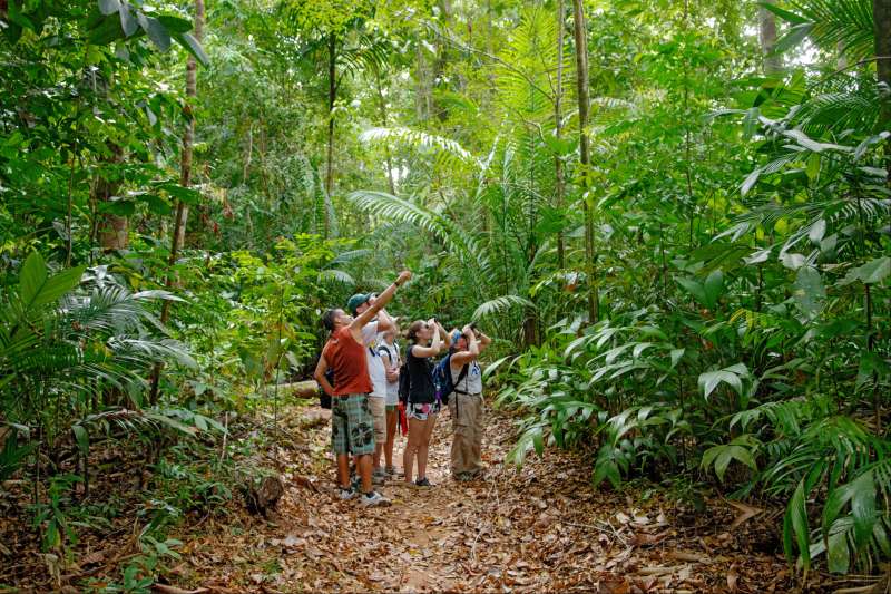 Autotour en famille au Costa Rica: du volcan Arenal au parc du Corcovado via Manuel Antonio entre faune & flore exceptionnelles!
