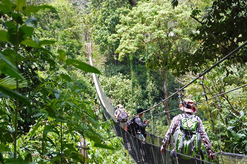 Découverte des incontournables du Costa Rica en famille entre volcan, jungle, forêts, plages, cascades et piscines naturelles !