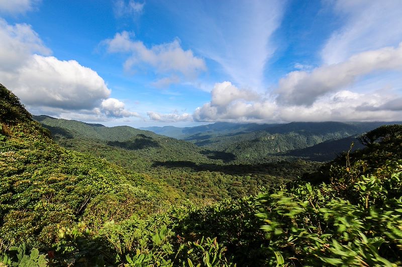 Découverte des incontournables du Costa Rica en famille entre volcan, jungle, forêts, plages, cascades et piscines naturelles !