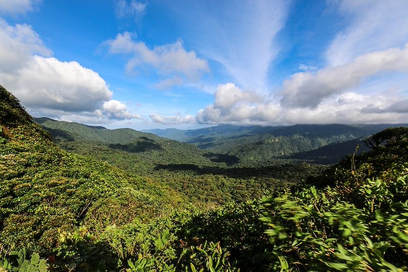 Réserve de Monteverde - Costa Rica