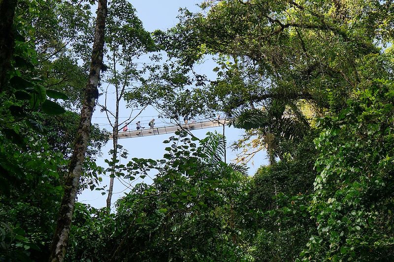 Pont suspendu au Parc national du Volcan Arenal - Costa Rica