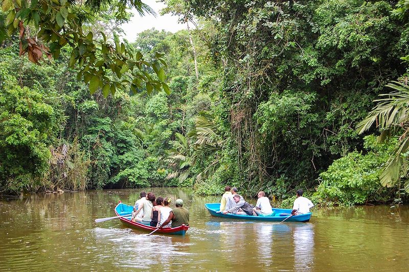 Balade en bateau dans le parc national de Tortuguero - Limón - Costa Rica