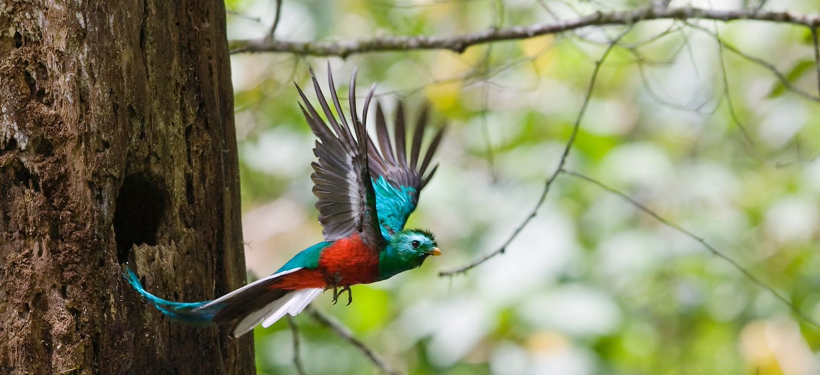 Randos & rencontres grandeur nature