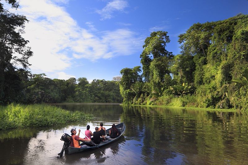  Limón - Parc national de Tortuguero - Costa Rica