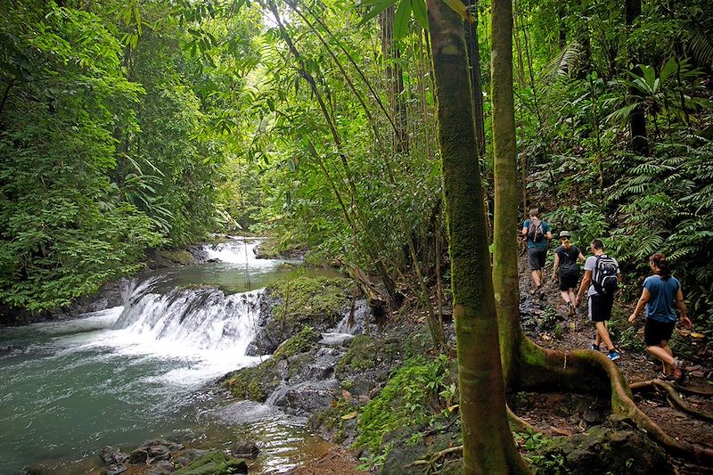 Pura Vida: l'aventure en famille ! 