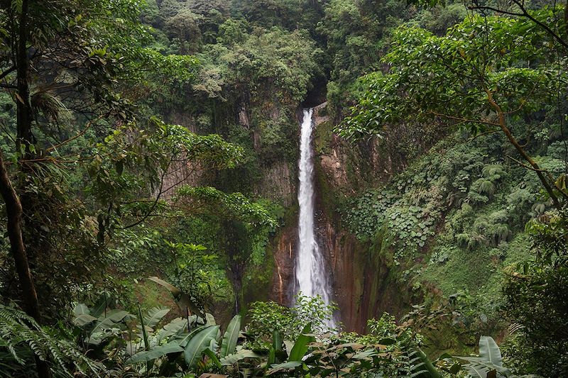 Cascade La Fortuna - Province d'Alajuela - Costa Rica