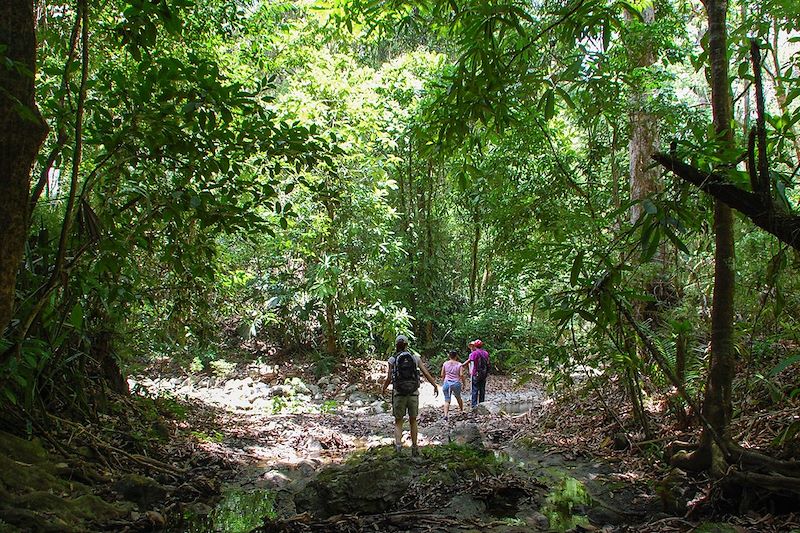 Randonnée dans la péninsule de Nicoya - Costa Rica